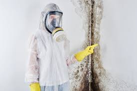 Wayzata, MN Mold Remediation Company